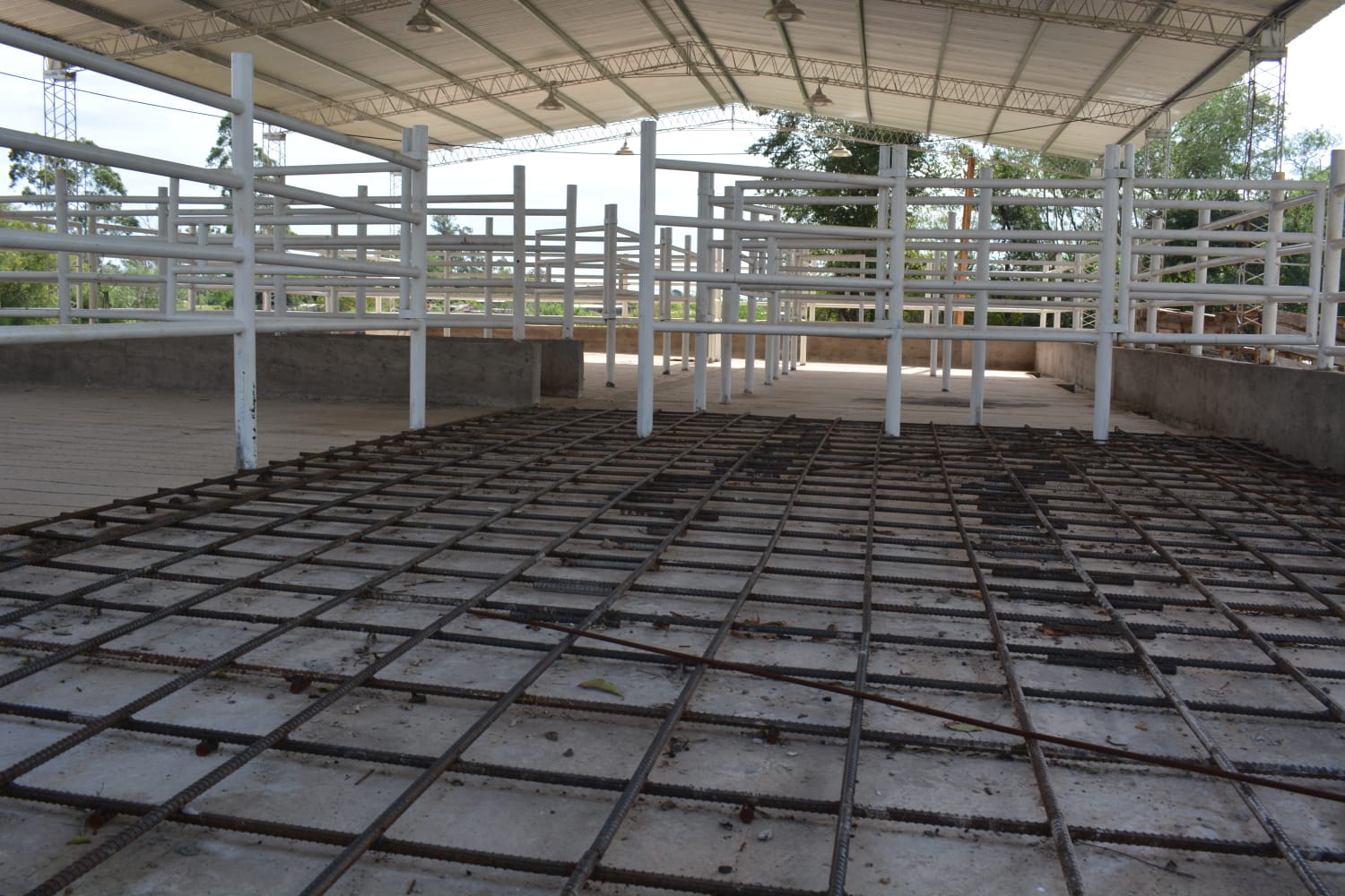 Las obras de la planta industrial de faena de Ituzaingó se encuentran en un 80% de avance