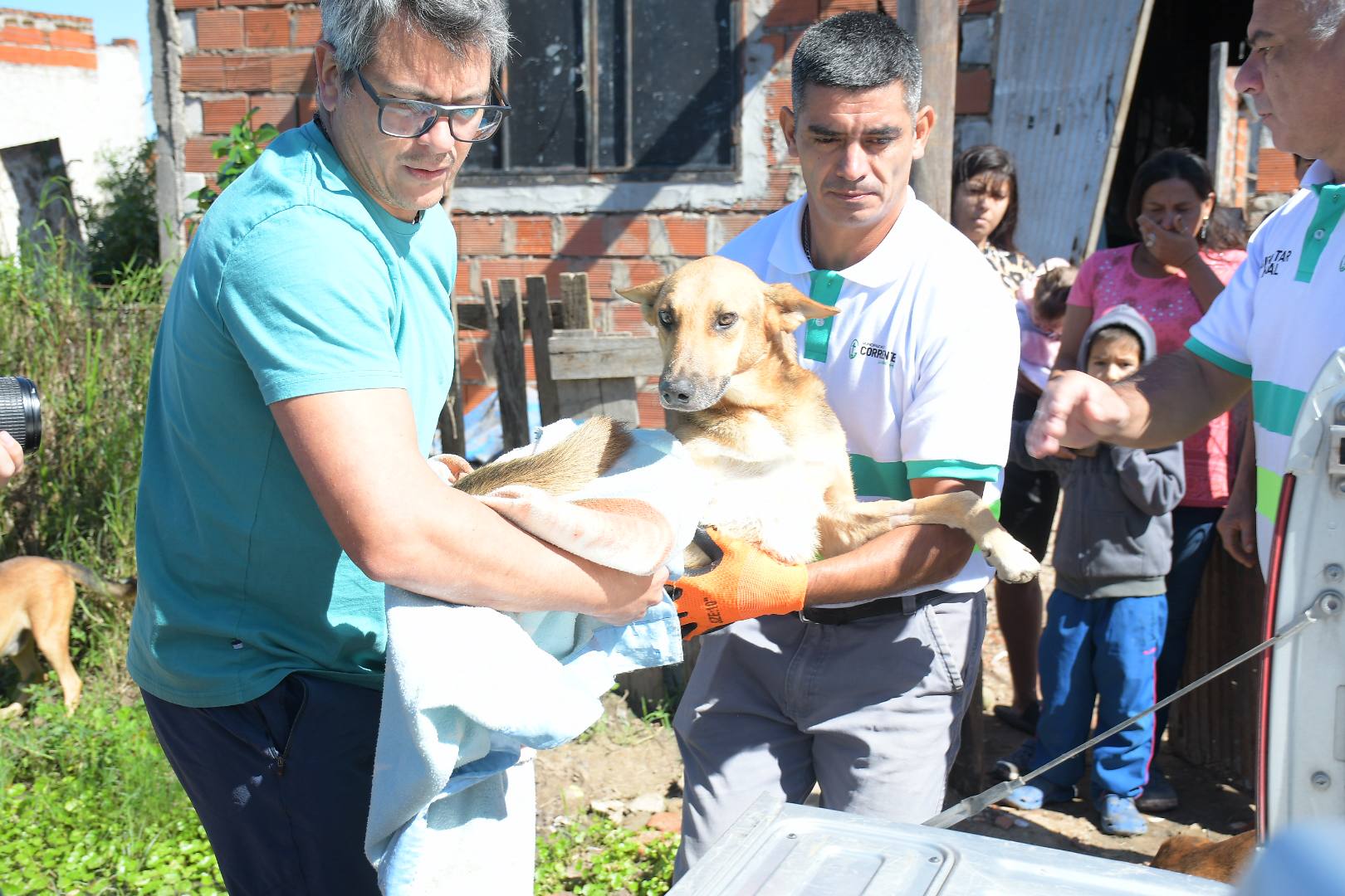 El Municipio actuó ante un caso de maltrato y rescató a un perro herido
