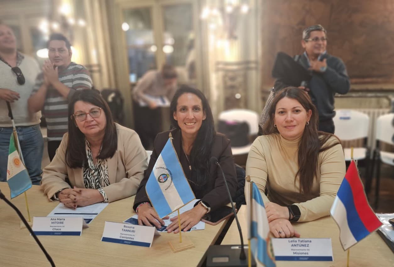 Corrientes participó de la Asamblea N° 108 del Consejo Federal de Discapacidad