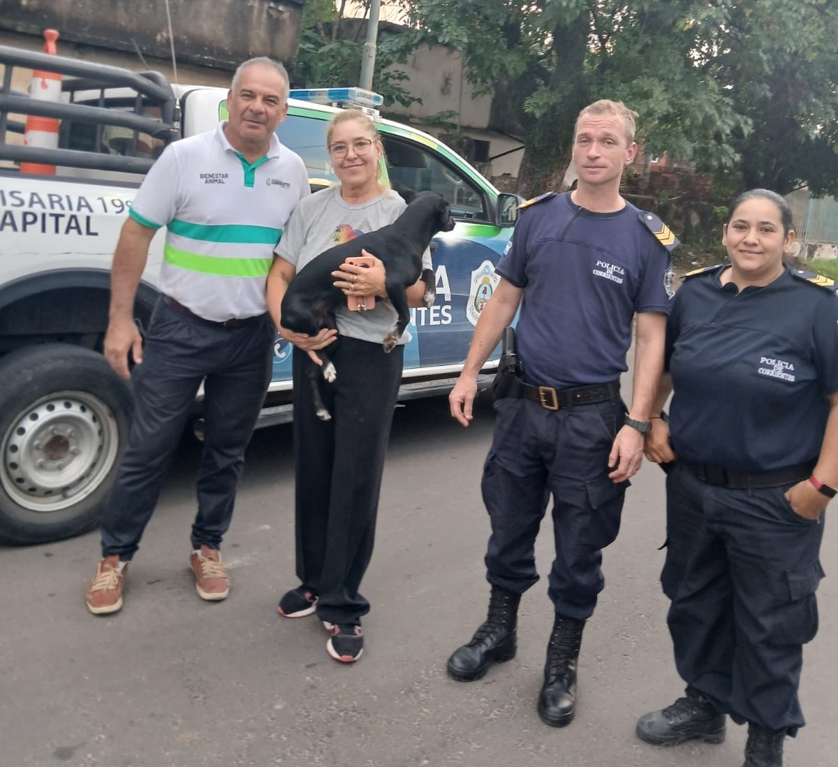 Protección animal en la ciudad: rescatan a una perrita por presunto abuso en el Santa Teresita