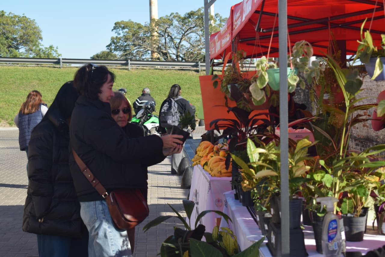 Cronograma de la Feria de Emprendedores de Desarrollo Social