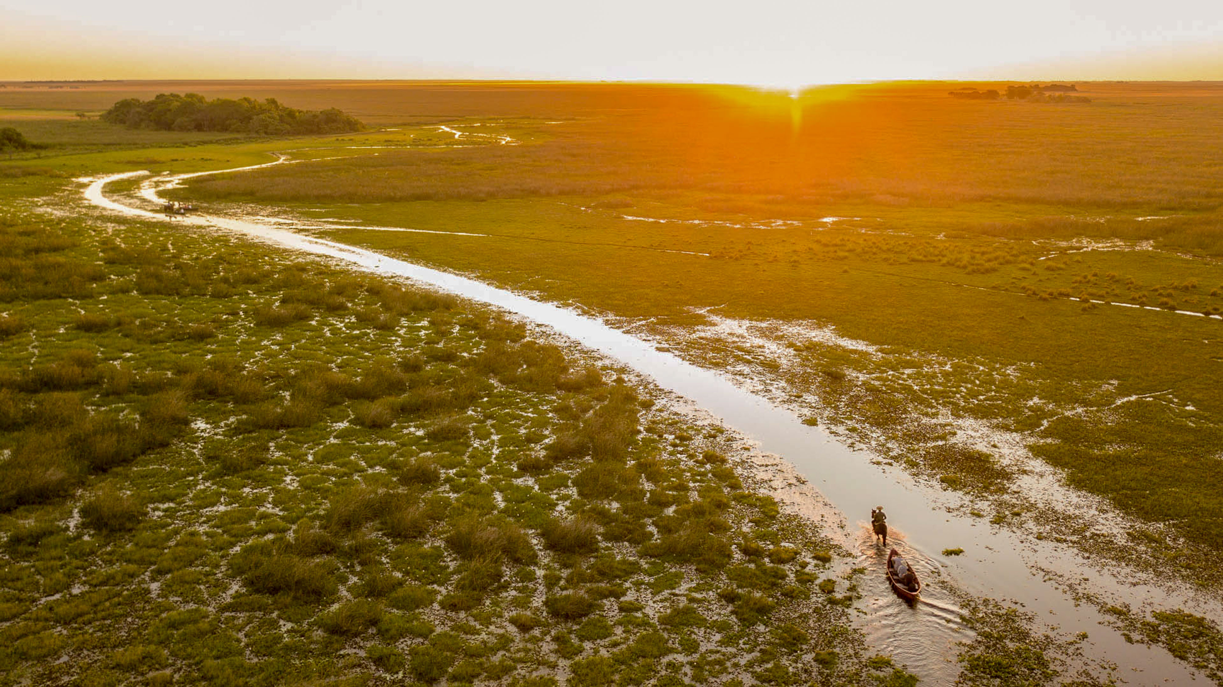 Día Mundial del Medio Ambiente: Iberá, símbolo de conservación y desarrollo para Corrientes